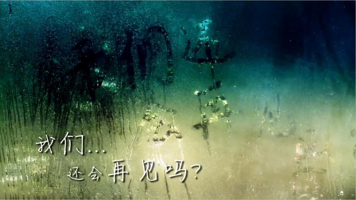 &#21326;&#20307;&#20250;&#104;&#116;&#104;